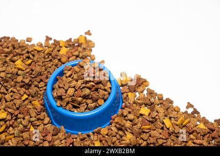 Séchez les aliments pour animaux dans un bol bleu sur fond blanc. Un régime complet pour chats et chiens Banque D'Images