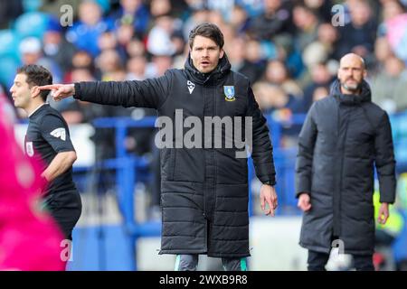 Sheffield, Royaume-Uni. 29 mars 2024. Le manager de Sheffield mercredi Danny Rohl fait des gestes pendant le match du Sheffield Wednesday FC vs Swansea City AFC SKY BET EFL Championship au stade de Hillsborough, Sheffield, Angleterre, Royaume-Uni le 29 mars 2024 crédit : Every second Media/Alamy Live News Banque D'Images