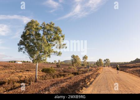 Un chemin de pierres concassées menant à l'horizon avec des routards sur le chemin de Saint-Jacques-de-Compostelle en arrière-plan - pèlerinage, solitude, tran Banque D'Images