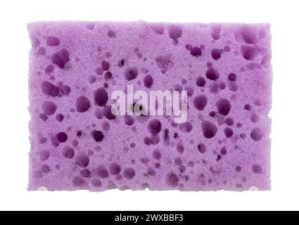 Éponge pour laver la vaisselle sur un fond blanc gros plan. Vue de dessus. Isolat d'éponge violette Banque D'Images
