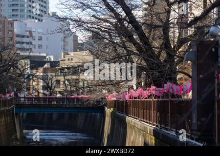 Tokyo, Japon. 29 mars 2024. Des arbres Sakura sont vus près de la rivière Meguro, qui n'ont pas encore fleuri en raison du temps pluvieux et froid. Les cerisiers en fleurs devraient fleurir le lendemain, pendant le week-end, avec des attentes pour le tourisme floral à prospérer. Crédit : Marcin Nowak/Alamy Live News Banque D'Images