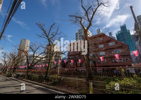 Tokyo, Japon. 29 mars 2024. Des arbres Sakura sont vus près de la rivière Meguro, qui n'ont pas encore fleuri en raison du temps pluvieux et froid. Les cerisiers en fleurs devraient fleurir le lendemain, pendant le week-end, avec des attentes pour le tourisme floral à prospérer. Crédit : Marcin Nowak/Alamy Live News Banque D'Images