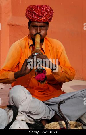 Charmeur de serpent en robe traditionnelle jouant un instrument devant un cobra, Jaipur, Rajasthan, Inde Banque D'Images