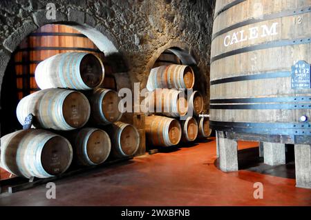 Calem, cave à vin de Porto, Vila Nova da Gaia, Porto, cave à vin avec des tonneaux en bois alignés et empilés à la lumière du jour apparente, Porto, nord Banque D'Images