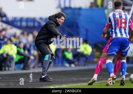 Sheffield, Royaume-Uni. 29 mars 2024. Le manager de Sheffield mercredi Danny Rohl fait des gestes pendant le match du Sheffield Wednesday FC vs Swansea City AFC SKY BET EFL Championship au stade de Hillsborough, Sheffield, Angleterre, Royaume-Uni le 29 mars 2024 crédit : Every second Media/Alamy Live News Banque D'Images