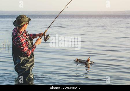 Un pêcheur en chemise rouge a attrapé une perche de brochet dans un étang d'eau douce. Banque D'Images