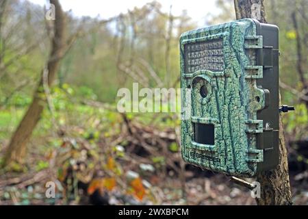 Fotofalle in der Landschaft Eine Wild- oder auch Jagdkamera, Die BEI jedem Wetter mittels Bewegungsmelder Video und auch Fotoaufnahmen macht und in der Nacht automatisch auf Infrarotaufnahmen umstellt befindet sich versteckt in der Landschaft *** piège photo dans le paysage caméra de jeu ou de chasse qui utilise des détecteurs de mouvement pour prendre des vidéos et des photos par tous temps et automatiquement les commutateurs à infrarouge la nuit est caché dans le paysage Banque D'Images