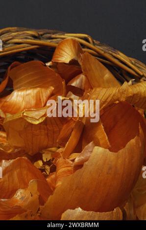 Coquilles d'oignons sèches. Banque D'Images