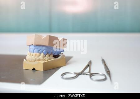 modèle en plâtre pour prothèse dentaire sur table de laboratoire avec quelques outils de travail. C'est la mâchoire supérieure et la mâchoire inférieure en pâte de couleur différente. Banque D'Images