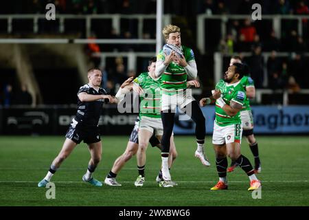 Newcastle, Royaume-Uni. 12 janvier 2024. Ollie Hassell-Collins des Leicester Tigers remporte un ballon élevé lors du match Gallagher Premiership entre les Falcons de Newcastle et les Leicester Tigers à Kingston Park, Newcastle, vendredi 29 mars 2024. (Photo : Chris Lishman | mi News) crédit : MI News & Sport /Alamy Live News Banque D'Images