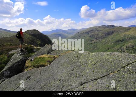 Walker sur le sommet de Eagle Crag Fell, Stonethwaite Valley, Allerdale, Lake District National Park, Cumbria, Angleterre, Royaume-Uni Eagle Crag est l'un des 21 Banque D'Images