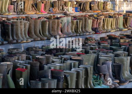 Wellies sur les marches du Parlement Senedd / gallois dans le cadre d'une manifestation des agriculteurs. Banque D'Images