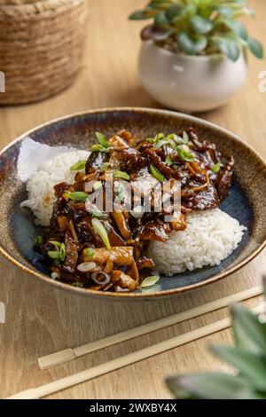 Délicieux sauté de bœuf avec légumes et riz au jasmin, garni d'oignons verts Banque D'Images