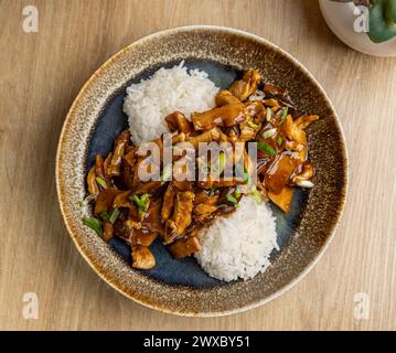 Délicieux sauté de bœuf avec légumes et riz au jasmin, garni d'oignons verts Banque D'Images