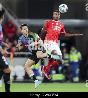 Lisbonne, Portugal. 29 mars 2024. Lisbonne, 03/29/2024 - Sport Lisboa e Benfica accueilli cet après-midi à Estádio da Luz à Lisbonne, Grupo Desportivo de Chaves dans le match de la 27ème manche de la 1ère Liga Portugal Betclic, saison 2023/24. Florentino Luís (Gerardo Santos/Global Imagens) crédit : Atlantico Press/Alamy Live News Banque D'Images