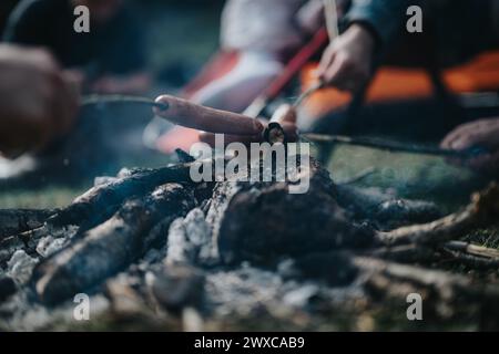 Amis rôtissant des hot-dogs sur un feu de camp dans un cadre naturel Banque D'Images