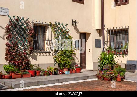 Treillis, pots de fleurs et vignes poussant à côté du mur beige. Banque D'Images