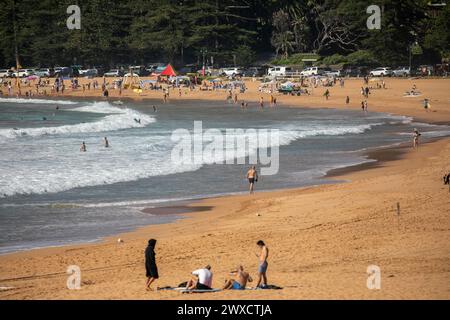 Les résidents de Sydney se dirigent vers la côte alors que les températures atteignent 29 degrés dans certaines parties de Sydney, les habitants sur la photo se dirigent vers Palm Beach sur les plages du nord de Sydney, samedi 30 mars 2024, Australie. Crédit Martin Berry Alamy Live news. Banque D'Images