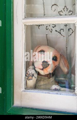 Un adorable chien blanc en peluche avec des taches rouges regardant à travers la fenêtre en bois d'une maison typique de Lisbonne, agitant avec sa patte et regardant le camer Banque D'Images