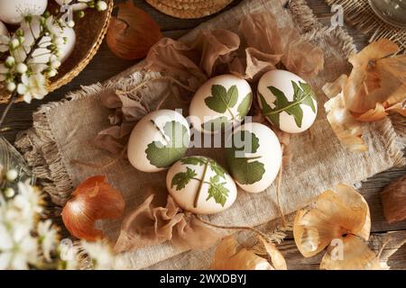 Préparation des oeufs de Pâques pour la teinture avec des pelures d'oignon, vue de dessus Banque D'Images