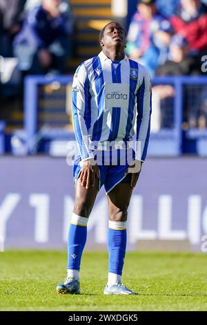 Sheffield, Royaume-Uni. 29 mars 2024. L'attaquant de Sheffield Wednesday Djeidi Gassama (41 ans) a été abattu lors du Sheffield Wednesday FC vs Swansea City AFC Sky Bet EFL Championship match au Hillsborough Stadium, Sheffield, Angleterre, Royaume-Uni le 29 mars 2024 crédit : Every second Media/Alamy Live News Banque D'Images