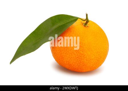 chemin tangerine isolé sur blanc Banque D'Images
