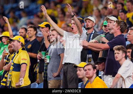 Sydney, Australie. 30 mars 2024. Les fans des Mariners manifestent leur soutien lors du match de A-League Men Rd22 opposant le Sydney FC aux Mariners au stade Allianz le 30 mars 2024 à Sydney, Australie crédit : IOIO IMAGES/Alamy Live News Banque D'Images