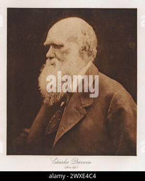 Portrait de Charles Darwin, photographié par Julia Margaret Cameron entre 1888 et 1893. Banque D'Images