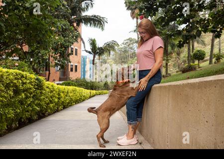 Un chien sautant et plaçant ses pattes sur les jambes de son propriétaire, qui le regarde joyeusement, profitant d'une journée ensoleillée, se promenant dans la ville dans un espace vert. Banque D'Images