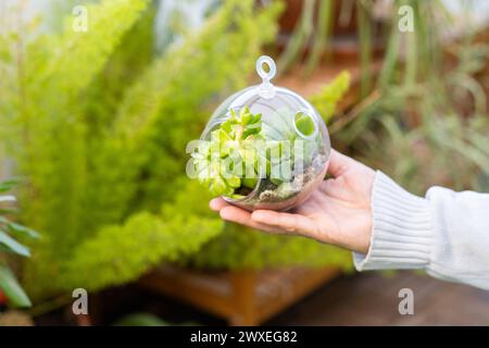 Main d'un homme tenant un terrarium végétal naturel avec Micro Habitat Glass Ball sur un fond doux neutre. Soins de la planète et durabilité pour la maison ou Banque D'Images