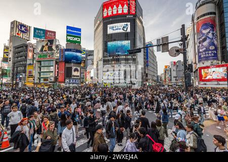 Tokyo, Japon. 30 mars 2024. Les touristes affluent à Shibuya Crossing au Japon alors que les vacances de Pâques continuent. Crédit : Marcin Nowak/Alamy Live News Banque D'Images