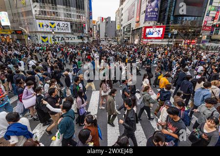 Tokyo, Japon. 30 mars 2024. Les touristes affluent à Shibuya Crossing au Japon alors que les vacances de Pâques continuent. Crédit : Marcin Nowak/Alamy Live News Banque D'Images