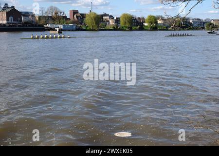 Siège de toilette flottant dans la Tamise - des niveaux élevés d'E. coli provenant des eaux usées brutes ont été trouvés dans la rivière où les universités font la course de bateaux chaque année Banque D'Images