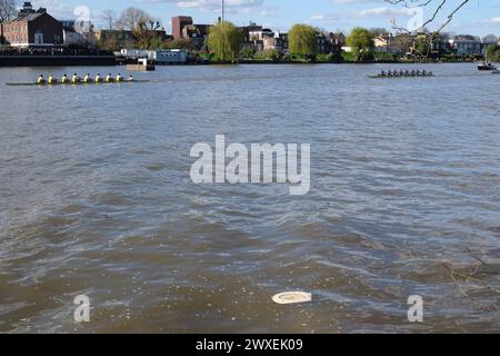 Siège de toilette flottant dans la Tamise - des niveaux élevés d'E. coli provenant des eaux usées brutes ont été trouvés dans la rivière où les universités font la course de bateaux chaque année Banque D'Images