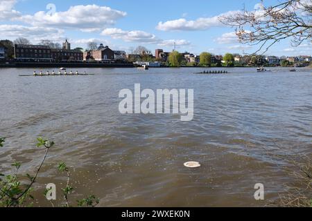 Siège de toilette flottant dans la Tamise - des niveaux élevés d'E. coli provenant des eaux usées brutes ont été trouvés dans la rivière où les universités font la course de bateaux chaque année Banque D'Images