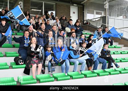 Aalter, Belgique. 30 mars 2024. Fans et supporters de Bruges photographiés lors d'un match de football féminin entre le Club Brugge Dames YLA et la Standard Femina de Liege le 2ème jour de match en play-off 1 de la saison 2023 - 2024 de la Super League belge Lotto Womens, le samedi 30 mars 2024 à Aalter, BELGIQUE . Crédit : Sportpix/Alamy Live News Banque D'Images