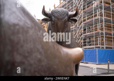 Taureau et ours, sculptures de Reinhard Dachlauer, Boersennplatz, bourse, chantier, échafaudage, échafaudage, Francfort-sur-le-main Banque D'Images