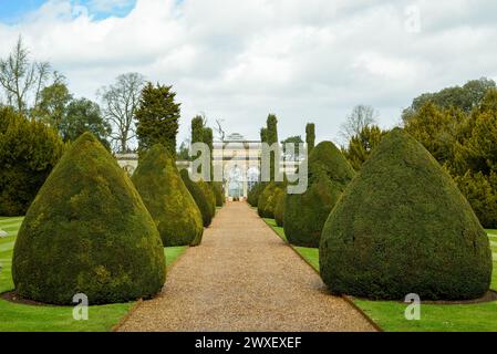 Grand sentier bordé de haies de boîtes en forme dans un jardin formel Banque D'Images