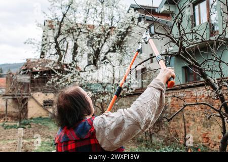 Femme âgée élaguant des branches de pomme. Heure du printemps Banque D'Images