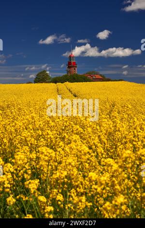 Phare Buk près de Bastdorf dans le champ jaune Banque D'Images