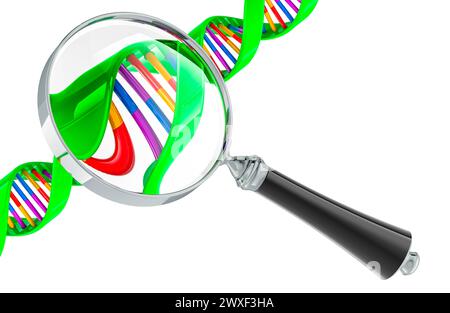 Spirale d'ADN avec loupe. Recherche biotechnologique, concept. Rendu 3D isolé sur fond blanc Banque D'Images