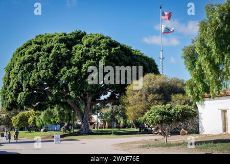 Des drapeaux flottent au-dessus de Washington Square par une journée ensoleillée à Old Town San Diego, Californie. Banque D'Images