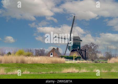 Paysage avec digue et historique Oukoopse molen avec la maison de miller le long de l'enkele Wiericke dans la province néerlandaise de Zuid Holland contre un backgr Banque D'Images