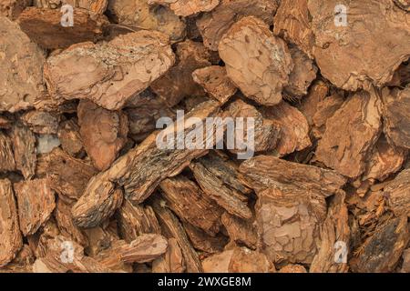 Pile de pièces d'écorce d'arbre brun décoratif de fond naturel texture. Banque D'Images