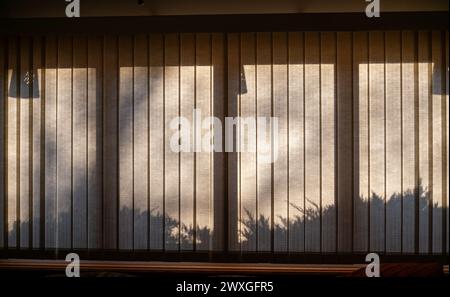 Fond de texture abstraite plein cadre d'ombres d'aménagement paysager extérieur projetées sur une grande fenêtre avec des stores verticaux, dans une pièce sombre Banque D'Images