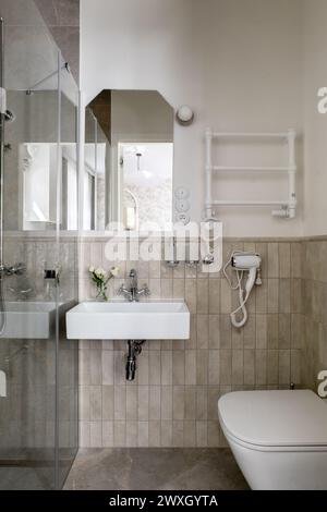 Une salle de bains avec des accessoires de plomberie tels qu'un lavabo, un miroir et des toilettes Banque D'Images