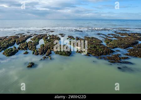 La plage et les falaises et Seahaven près de Brighton Banque D'Images