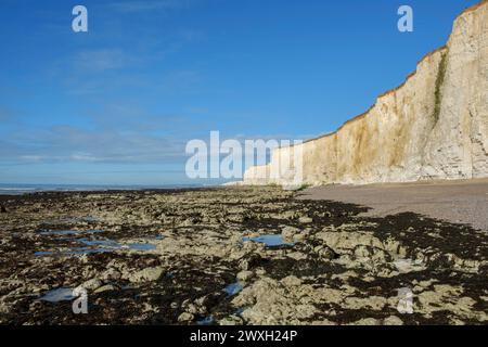 La plage et les falaises et Seahaven près de Brighton Banque D'Images