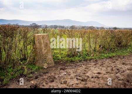 Pilier de triangulation (point trig) sur Lantbridge Hill, Worcestershire Banque D'Images