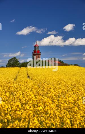 Phare Buk près de Bastdorf dans Yellow Field Banque D'Images